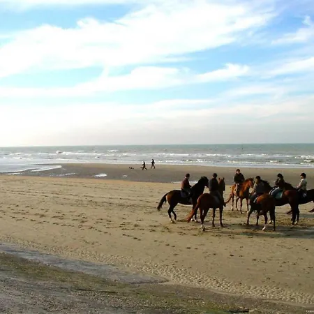 Flat In With Harbour Views Apartment Blankenberge