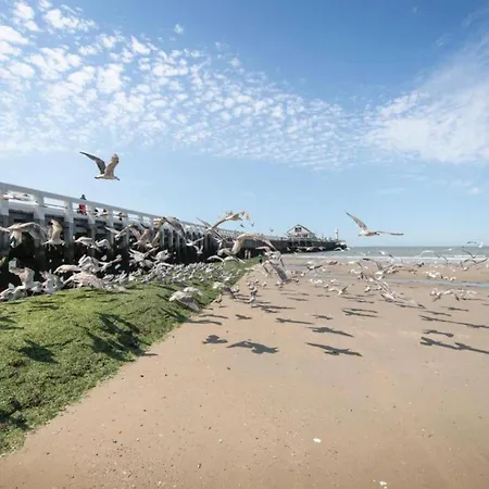 Apartment Flat In With Harbour Views *