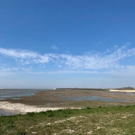 Flat In With Harbour Views * Blankenberge