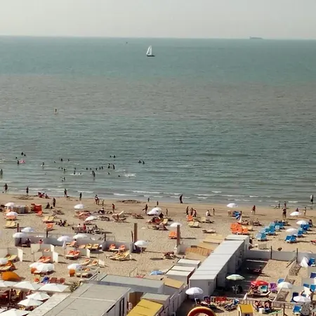 Flat In With Harbour Views